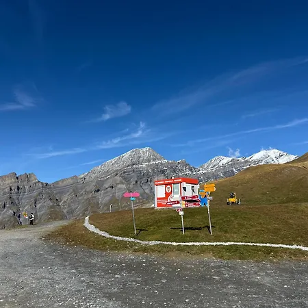 Daire Salute Budget *