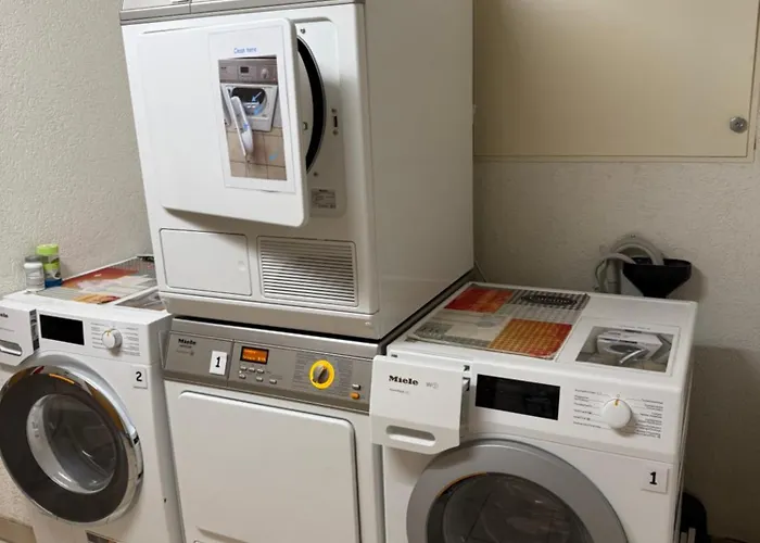 Daire Salute Budget *