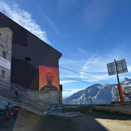 Salute Budget Διαμέρισμα